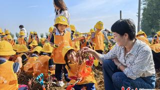 隆尧县县直幼儿园开展劳动主题社会实践活动