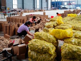 中国银行济宁分行：普惠金融助力新农企，托起乡村“致富梦”