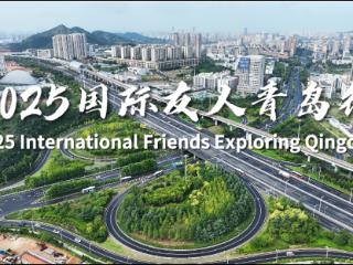 共探产业新发展，共话合作新蓝图 2025国际友人青岛行活动成功举办