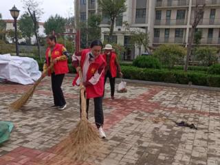 新泰市西张庄镇圣德庄村：秸秆清运齐动手，巾帼志愿美家园