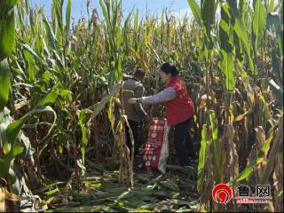 德州市陵城区于集乡：志愿服务聚合力 助农秋收暖民心