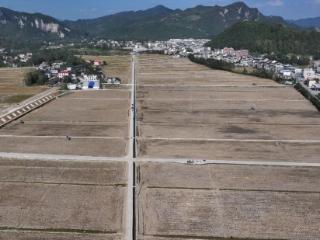 贵州松桃：17台直播机高效助力14万亩油菜下种