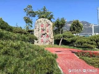 晴日泰安太治愈！初秋风裹阳光，光斑跳着走
