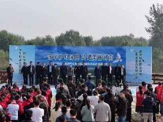 鸟类种类占全国三分之一，河南多部门给迁徙通道加装“安全带”
