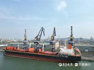 “散改集”+“保税混配”，烟台港铜精矿业务跑出“加速度”