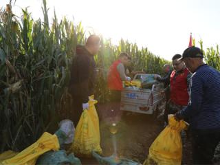 惠民县辛店镇：“青年突击队”助困难家庭抢收解民忧