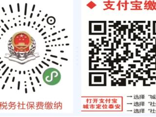 泰安市2026年度城乡居民基本医疗保险开始缴费啦！