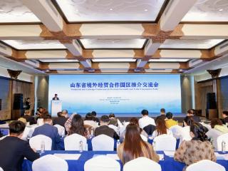 搭建合作桥梁 共享“出海”机遇|山东省境外经贸合作园区推介交流会举行
