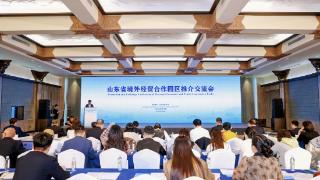 搭建合作桥梁 共享“出海”机遇|山东省境外经贸合作园区推介交流会举行