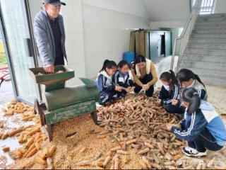 广平镇双庙魏小学开展玉米脱粒观摩劳动实践活动