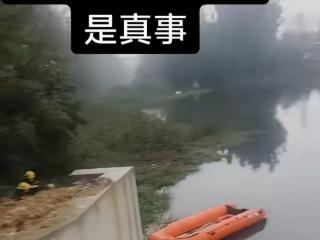 山东枣庄一河道有鳄鱼出没？官方回应：多部门已去现场，暂未发现