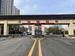 泰山区徐家楼街道：“三措并举”绘就民生幸福新图景