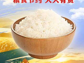 海报·世界粮食日｜粮食节约 人人有责