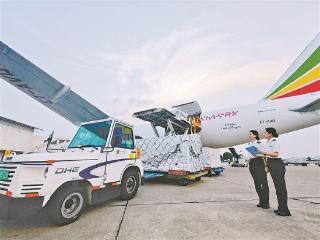 国内首条金砖城市跨境电商空运专线进出口货物突破4万吨