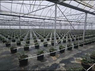 山东工行：信贷资金精准直达 全力护航“三秋”生产
