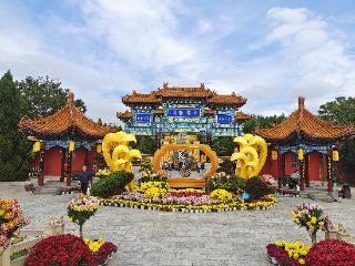 满城尽带黄金甲！八朝古都开封又“变色”了！