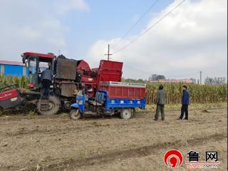 德州市宁津县津城街道：政协委员联络室精准发力 赋能“三秋”生产跑出“加速度”