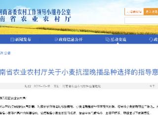 播期推迟怎么办？河南给出抗湿晚播小麦“技术方案”