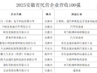 2025安徽省民营企业百强榜单发布