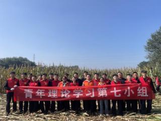田间藏蓝暖人心！山东司法警官职业学院帮农户抢收玉米保收成