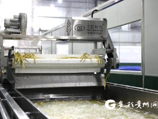订单驱动 鲜笋“智”造 绥阳“竹梦”让方竹笋出山“有门路”