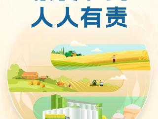 世界粮食日｜玉米忙烘干，小麦晚播种，河北秋收秋种顺“时”而为