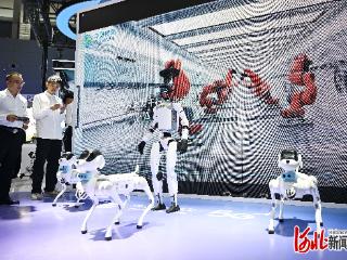 河北数字经济发展动能澎湃——写在2025中国国际数字经济博览会举办之际