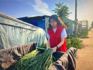 从“职场新人”到“青年技术能手”——记济阳烟草韩嘉仪的青春奋斗路