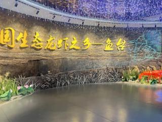 营商环境的县域解法：一家基层法院的司法“最优解”