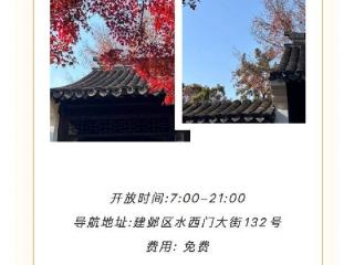 走，去捡秋天！南京人的“捡秋”指南来了