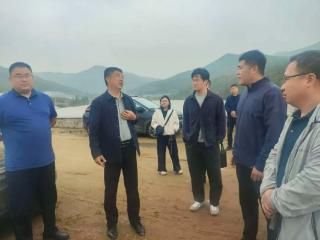 凝心聚力保秋收 同心携手齐助农——烟台市青年企业家商会赴福山区开展“三秋”帮扶助农活动