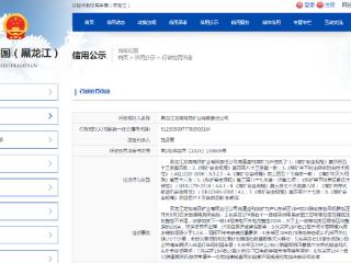 因8项违法事实，龙煤鸡西矿业被罚11万余元