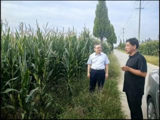 工商银行山东省分行：深耕乡村沃野 助力齐鲁粮安