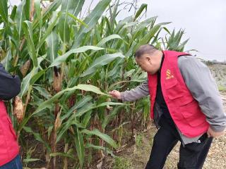 中国大地保险菏泽中支为“三秋生产”筑牢安全屏障