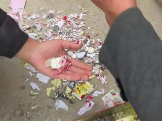 损失难以统计！居民藏于铁盒的现金被老鼠咬成碎片，已无法兑换