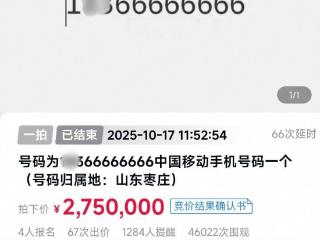 尾号66666666手机号司法拍卖275万元成交