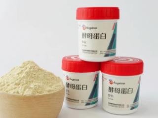 酵母蛋白：低嘌呤的高品质蛋白新选择