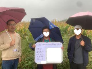 风雨中撑起“保护伞” 平安产险洛阳中心支公司农险暖心服务护航秋收