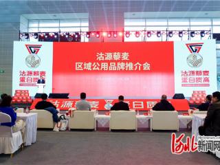 “沽源藜麦”区域公用品牌推介会在天津举行