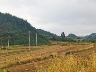 施秉：沃土翻犁抢农时 秋冬备耕正当时