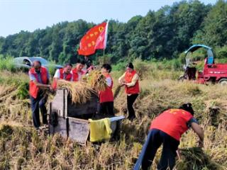 余干：“志愿红”守护秋收“粮袋子” 暖了百姓“心窝子”