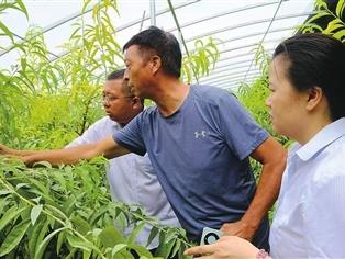 工商银行河南省分行：做实做细“五篇大文章” 精准服务河南经济高质量发展
