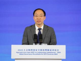 2025上合组织国家全球治理圆桌对话会举行 为全球治理体系变革凝聚“上合智慧”-中国网