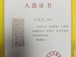 房县文化馆书画艺术推广与人才培养成果丰硕，闪耀2025年湖北省“金蕾杯”