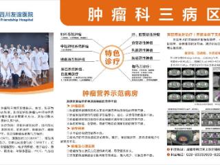 菲律宾胰腺癌患者跨国寻医 四川友谊医院肿瘤科蒋林君为生命接力