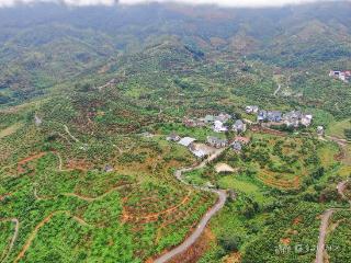 黔山粤海再谱新篇：荔波“三十里樟江”焕发振兴活力
