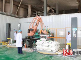 秦皇岛市卢龙县：甘薯收获季 集中收购忙