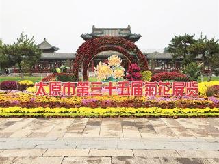 双塔公园观菊展