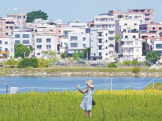 厦门今明两天气温偏高 后天起降水降温