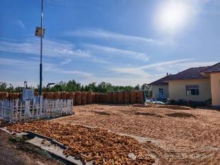 无棣县水湾镇多措并举护秋收，全力守住群众“粮袋子”
